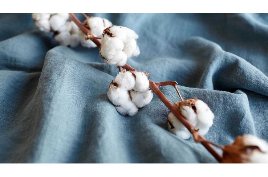 Czym jest tkanina bawełniana i jak dbać o bawełnę?