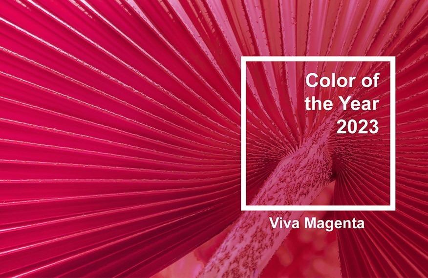 Kolor roku 2023 Pantone - Viva Magenta
