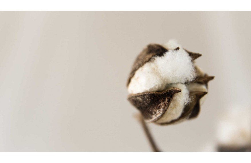 Muślin bawełniany - dlaczego to idealna tkanina do szycia?